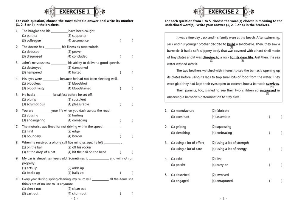 P5 EXCEL IN VOCABULARY