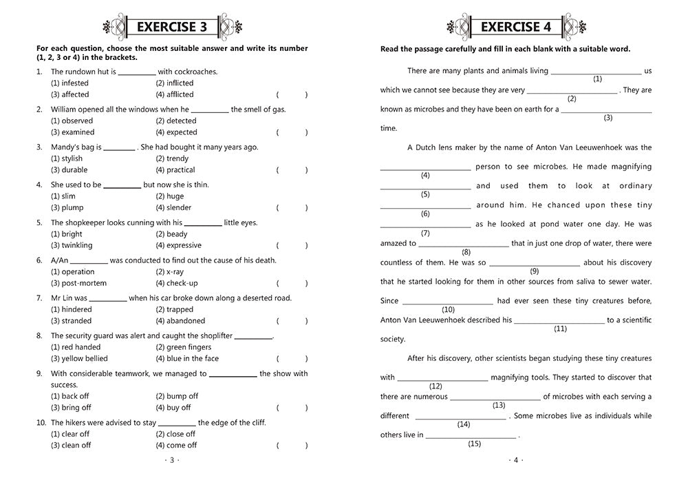 P5 EXCEL IN VOCABULARY