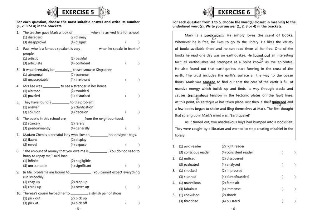 P5 EXCEL IN VOCABULARY