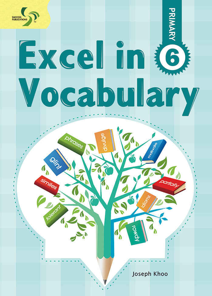 P6 EXCEL IN VOCABULARY