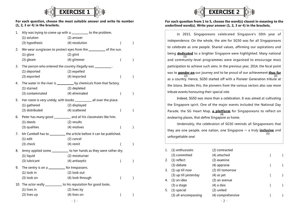 P6 EXCEL IN VOCABULARY