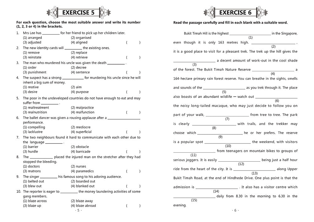 P6 EXCEL IN VOCABULARY