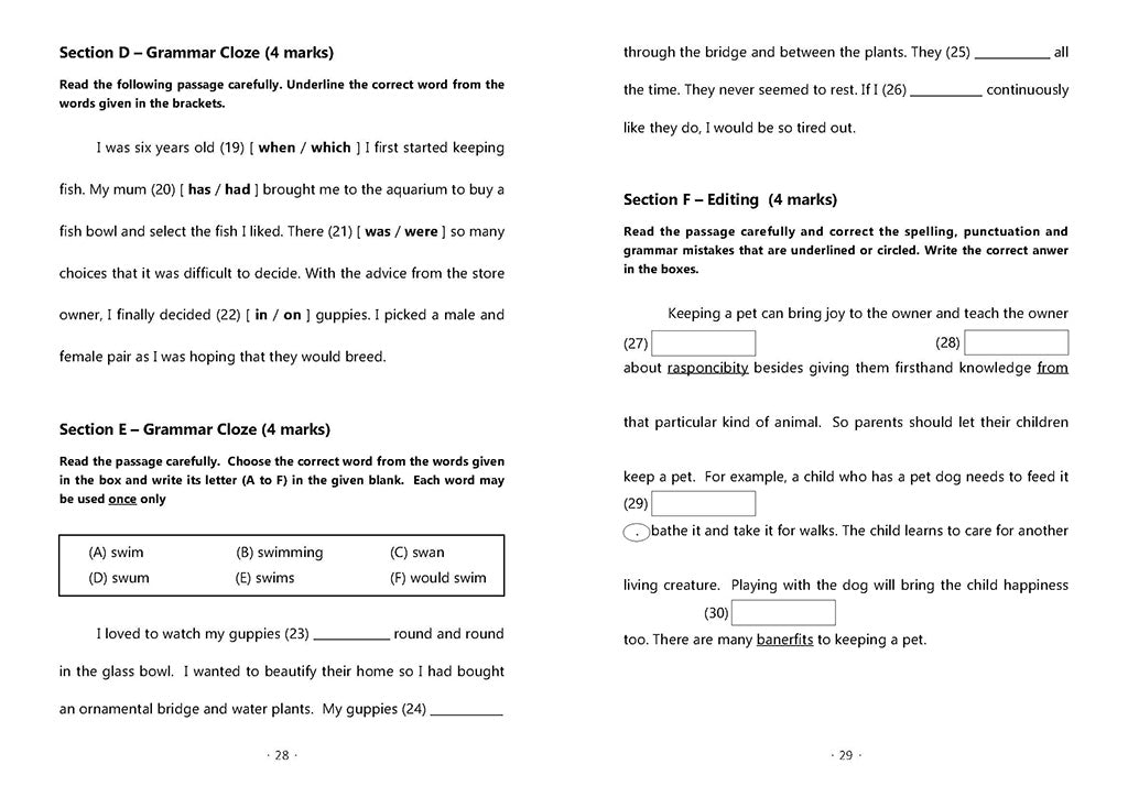 P3 ENGLISH MOCK EXAM PAPERS